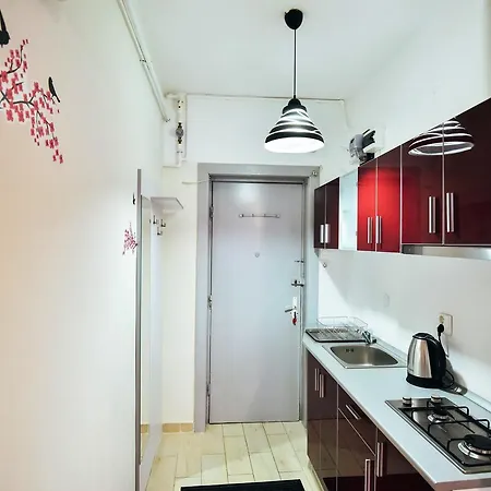 Διαμέρισμα Butterfly Studio Βουκουρέστι